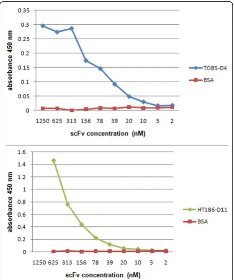 Figure 5 Specific binding activities of the scFvs produced inKT2440. The binding activities of the scFvs to cognate antigenswas measured by ELISA