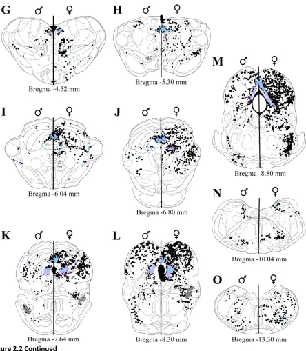 Figure 2.2 Continued  