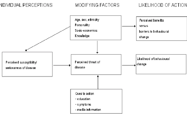 Figure 4: Health Belief Model 
