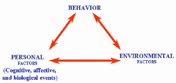 Figure 5: Social Cognitive Theory 