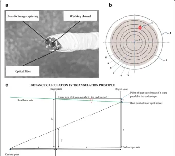 Fig. 4 Optical fiber assembly, range‑finder polar grid and distance calculation. at the endoscope distal end; polar grid, the captured image); the polar grid includes circles corresponding to the estimated distances between the endoscope distal end and the