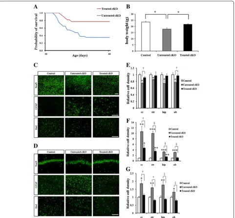 Figure 1 PPARγ agonist pioglitazone suppressed inflammation and partially reversed neuronal loss in Cdk5 cKO1 mice