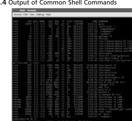Figure 1.4 Output of Common Shell Commands