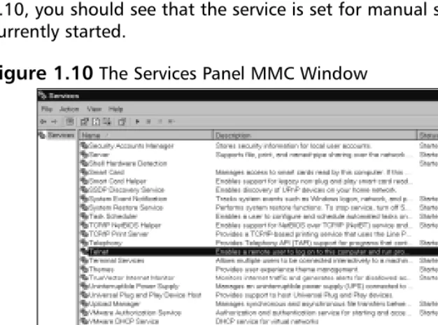 Figure 1.10 The Services Panel MMC Window