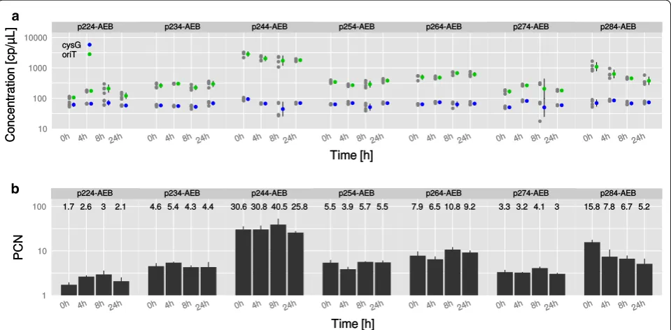 Fig. 4 Average plasmid copy number (PCN) of p2X4-AEB vectors in E. coli. a Absolute concentration of the gDNA and pDNA marker genes cysG and oriT as determined by Droplet Digital PCR