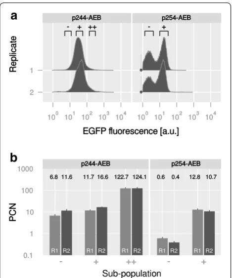 Fig. 5 Plasmid copy number (PCN) of selected sub-populations. Two E. coli strains with a different degree of heterogeneity regarding EGFP intensity were used for further characterization of PCN