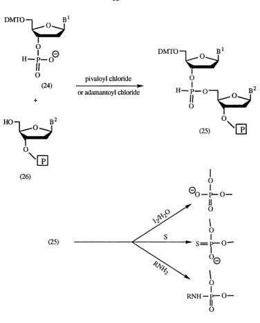Figure 1.7. Chemistry of H-phosphate method.