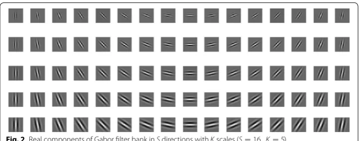 Fig. 2 Real components of Gabor filter bank in S directions with K scales (S = 16, K = 5