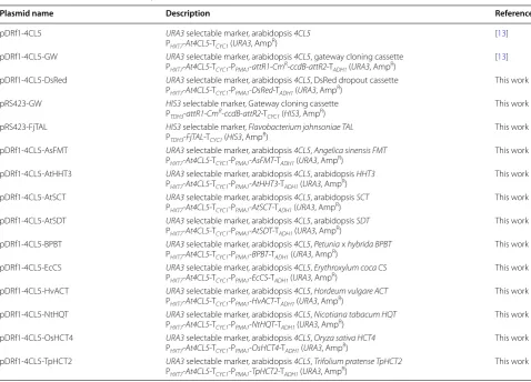 Table 1 Plasmids used in this study