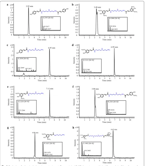 Fig. 4 Production of polyamine hydroxycinnamates in yeast. Representative LC–MS chromatograms obtained from analysis of the culture medium of S