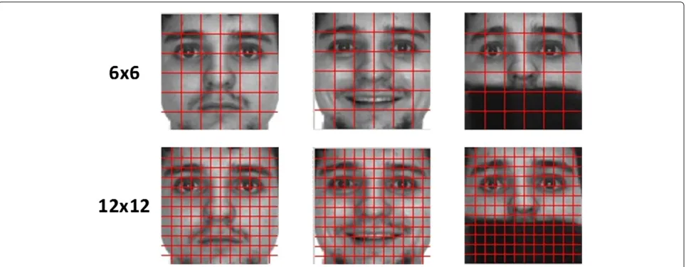Figure 2 Traditional regular face blocks division.that when there are occlusions on faces, a finer division allows to have more blocks for comparisons (valid areas); meanwhile, in the case ofexpression variations, a finer division produces a decrease on th