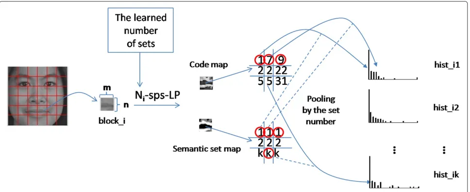 Figure 3 Illustration of the different amount of informationcontained in different face regions