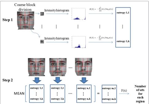 Figure 5 The details for learning the number of sets in each face block using information entropy