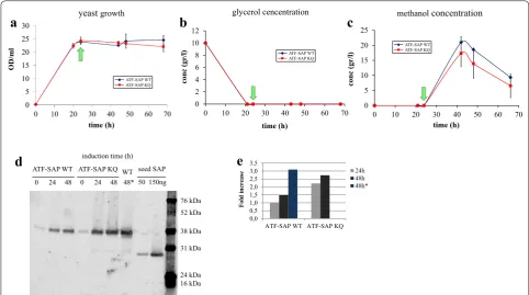 Table 1 Growth and ATF-SAP production parameters in P. pastoris recombinant cells during fed-batch fermentation