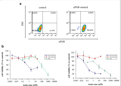 Fig. 8 Cytotoxic activity of ATF-SAP was assayed on a uPAR over-expressing cancer cell line