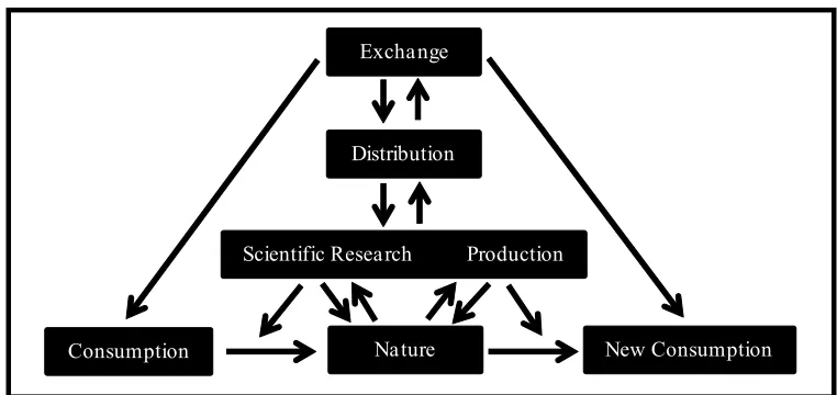 Figure 1. Development cycle of the productivity of consumption society.  