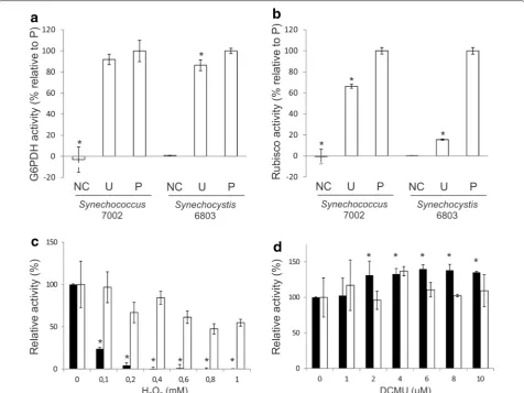 Fig. 4 The G6PDH and Rubisco enzyme activities measured for the control and permeabilized athe permeabilized cells, respectively