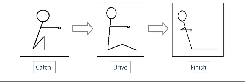 Figure 2 – The rowing technique. The catch represents the beginning of the stroke, where the oar blade is dropped into the water
