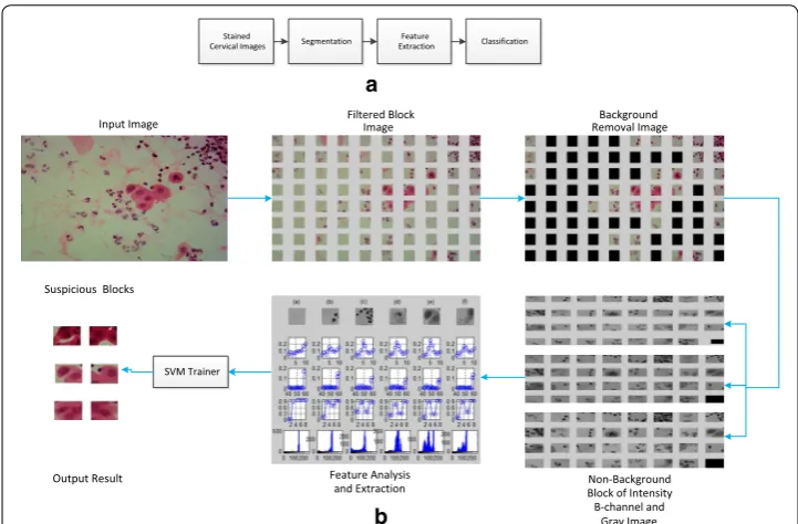 Fig. 1 Flowchart of automatic cervical cell screening algorithm. cessing algorithm is adopted