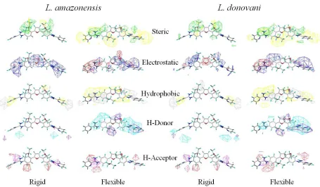 Figure 7. Overall models with CoMSIA molecular descriptors for both rigid and flexible 