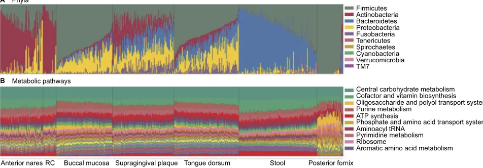 Figure 2 The human microbiome exhibits high body site (clusters along x-axis) and individual (individual columns) variation but functional diversity is highly conserved across both body site and individuals.Notes: Height of bars denotes abundance of (A) ba