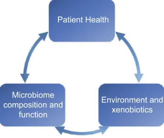 Figure 3 Bidirectional relationships between the environment and xenobiotics (including diet, lifestyle, and medications) and host microbiome and patient health.Note: Disruption of one variable likely to impact the others.