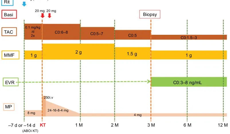 Figure 1 Immunosuppressive regimens and desensitization protocols.Abbreviations: ABOi, ABO-incompatible; Basi, basiliximab; C0, trough concentration; EVR, everolimus; KT, kidney transplantation; MMF, mycophenolate mofetil; MP, methylprednisolone; Rit, rituximab; TAC, tacrolimus.