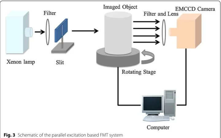 Fig. 3 Schematic of the parallel excitation based FMT system