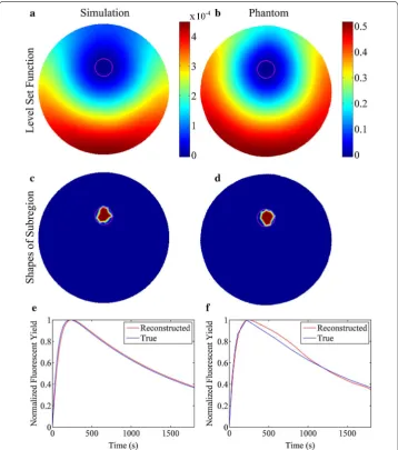 Fig. 4 Reconstruction results at the center slice for the studies of single target. The show the reconstruction results in the simulation and phantom studies, respectively