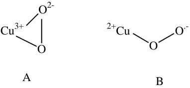 Figure 1.Error! Reference source not found.. The Two Proposed Copper Oxygen Coordination 
