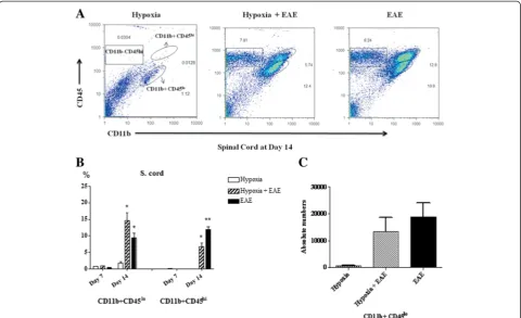 Fig. 7 CD11b+CD45low microglial cells are increased in response to mild hypoxia. Immune cells were recovered from the spinal cords (a) of mice(three animals/group/time point) at day 14 following MOG immunization as described in the “Materials and methods” 