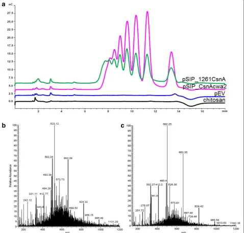 Fig. 6 HPAEC chromatogram (charged species of the same compounds; [M a) and direct infusion ESI–MS analysis (b, c) of deacetylated chito‑oligosaccharides (CHOS) obtained upon incubating L