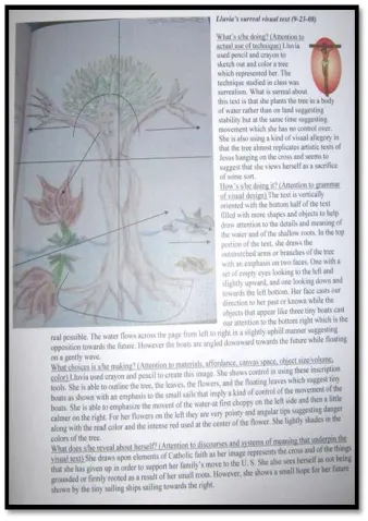 Figure 10  Visual Discourse Analysis of Lluvia's surrealism text 
