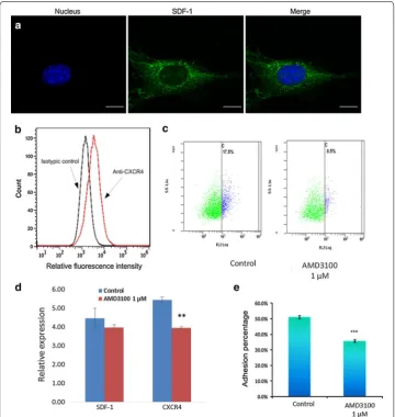 Fig. 4 bwith an FITC conjugate. Controls received equivalent concentrations of isotype-matched IgG