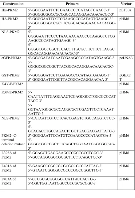 Table 3 Primers List 