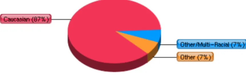 Figure 3.2 Respondents by Ethnicity 