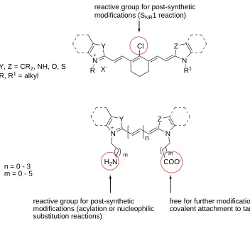 Figure 5. Reactive groups for post-synthetic modifications [7-11]. 