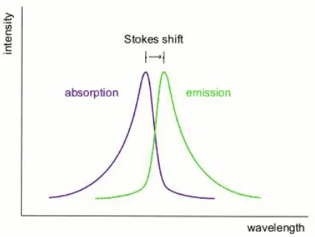 Figure 7. Stokes shift [100]. 