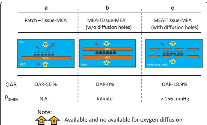 Fig. 10 Experimental design of RGC response against time and the results. a Schematic diagram of experi‑mental design