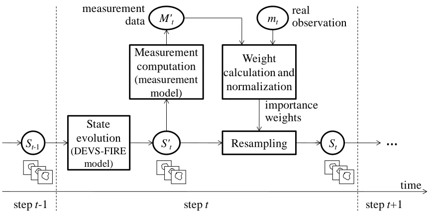 Figure 5.1 Data assimilation based on SMC methods 