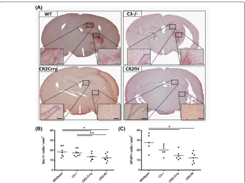 Fig. 2 Complement inhibition reduces microglia/macrophage activation and astrogliosis following MCAO and 7 days reperfusion.5Quantification of Iba-1 immunohistochemical staining