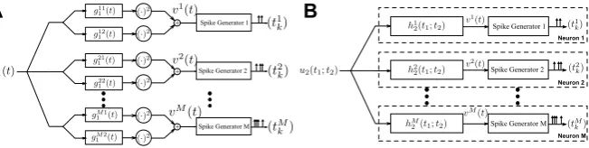 Fig. 2 The encoding of temporal stimuli by a neural circuit modeling an ensemble of complex cells.(A) The ith neuron in the model processes the input u1(t) by two parallel linear ﬁlters with impulseresponses gi11 (t) and gi21 (t), respectively, followed by