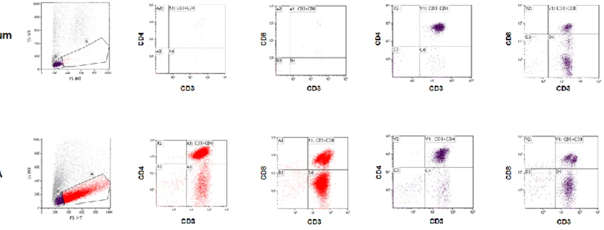 Figure 4. Flow cytometric analysis of cell-mediated immune response in the activated whole blood