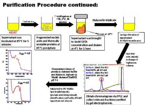 Figure 2.4. Summary of Purification Procedures Continued. 