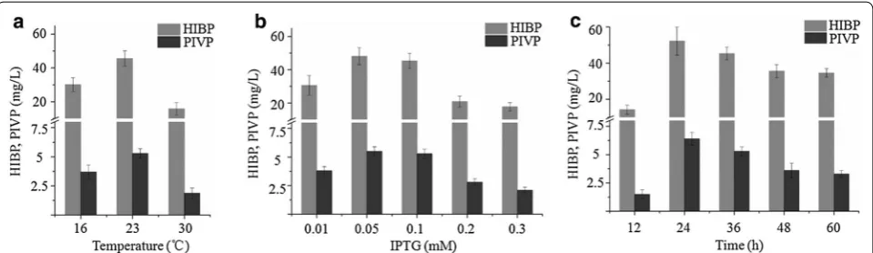 Fig. 5 Optimization of fermentation conditions. a The titers of PIVP and HIBP by strain APG-1 at different protein induction temperature