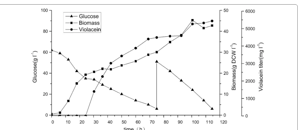 Fig. 4 Fermentation parameter optimization. a Violacein production and biomass of 21850 (pEC-vioABCDE) with 1, 3, 5 and 7 % corn steep liquor supplementation in fermentation