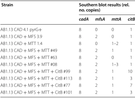 Fig. 6 Microtiter plate cultivation of citB overexpressing mutants. HPLC results from a five-day old microtiter plate culture of citB overexpressing mutants of AB1.13 CAD + MFS + MTT #49.The parental control strain is indicated by a red bar with standard d