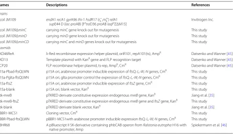Table 2 Escherichia coli strains and plasmids used in this study