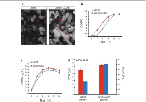 Table 1 Cell growth and  PHA accumulation by  recombi-nant E. coli grown under different culture conditions