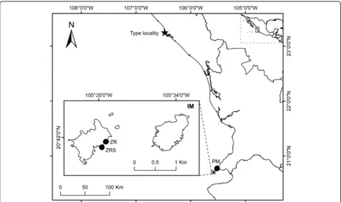 Fig. 7 Map of Paracaprella carballoi distribution records along the Mexican Pacific coast